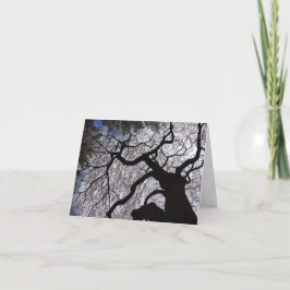 Blooming Willow Note Card Kaart