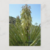 Blooming Yucca Briefkaart (Voorkant)