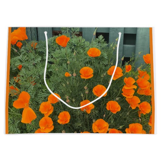 BloomingCalifornië: Gift Bag Groot Cadeauzakje (Voorkant)
