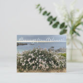 Bloomingen uit Asilomar: Zee Cliff Buckwheat Briefkaart (Staand voorkant)
