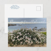 Bloomingen uit Asilomar: Zee Cliff Buckwheat Briefkaart (Voorkant / Achterkant)