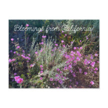 Bloomings from California: Afscheid van de lente!