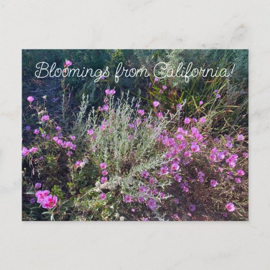 Bloomings from California: Afscheid van de lente! Briefkaart (Voorkant)