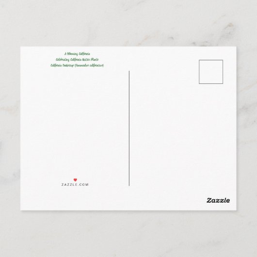 Bloomings from California: Buttercup Briefkaart (Achterkant)