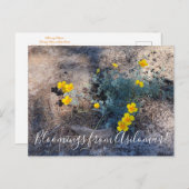 Bloomings uit Asilomar: Maritieme papavers Briefkaart (Voorkant / Achterkant)