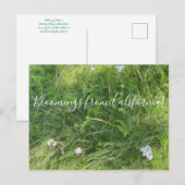 Bloomings uit Californië: Achillea millefolium Briefkaart (Voorkant / Achterkant)