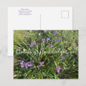 Bloomings uit Californië: April Iris Briefkaart (Voorkant / Achterkant)