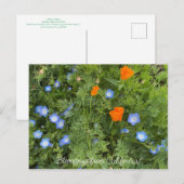 Bloomings uit Californië: April Wildbloemen Briefkaart (Voorkant / Achterkant)
