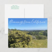 Bloomings uit Californië: Big Saltbush Briefkaart (Voorkant / Achterkant)