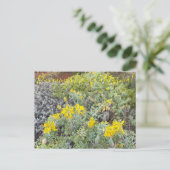 Bloomings uit Californië: Bladderpod Briefkaart (Staand voorkant)