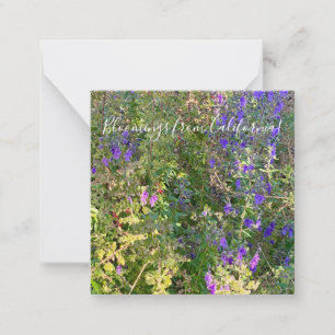 Bloomings uit Californië: Blauwe Curls Notitiekaartje