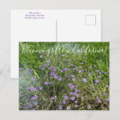 Bloomings uit Californië: Blue Eyed Grass Briefkaart (Voorkant / Achterkant)