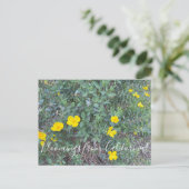 Bloomings uit Californië: Briefkaart van de boompa (Staand voorkant)