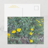 Bloomings uit Californië: Briefkaart van de boompa (Voorkant / Achterkant)