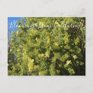 Bloomings uit Californië: Briefkaart van de zwarte