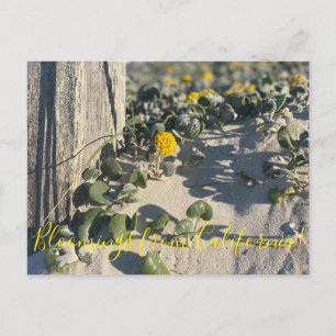 Bloomings uit Californië: Briefkaart van Sand Verb