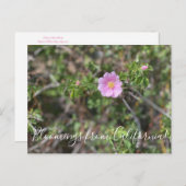 Bloomings uit Californië: Briefkaart van vrij Roos (Voorkant / Achterkant)