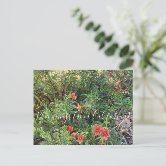 Bloomings uit Californië: Bronze Monkey Flower Briefkaart (Staand voorkant)