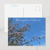 Bloomings uit Californië: Buck Brush Briefkaart (Voorkant / Achterkant)