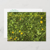 Bloomings uit Californië: Buttercup Briefkaart (Voorkant / Achterkant)