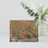 Bloomings uit Californië: California Fuchsia Briefkaart (Staand voorkant)