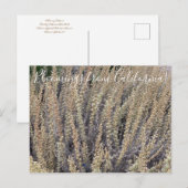 Bloomings uit Californië: California Sagebrush Briefkaart (Voorkant / Achterkant)