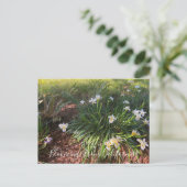 Bloomings uit Californië: Canyon Snow Iris Briefkaart (Staand voorkant)