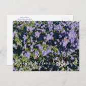 Bloomings uit Californië: Ceanothus Dark Star Briefkaart (Voorkant / Achterkant)