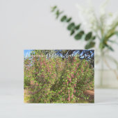 Bloomings uit Californië: Chaparral Currant Briefkaart (Staand voorkant)