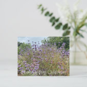 Bloomings uit Californië: Cleveland Sage Briefkaart (Staand voorkant)