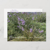 Bloomings uit Californië: Cleveland Sage Briefkaart (Voorkant / Achterkant)