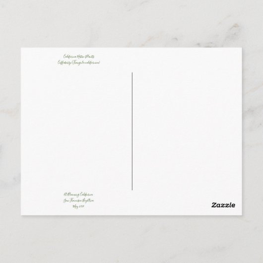 Bloomings uit Californië: Coffeeberry Briefkaart (Achterkant)