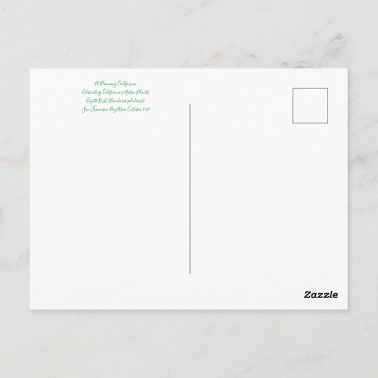 Bloomings uit Californië: Coyote Struik Briefkaart (Achterkant)