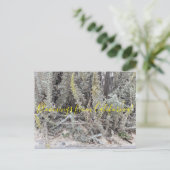 Bloomings uit Californië: Dune Sagewort Briefkaart (Staand voorkant)