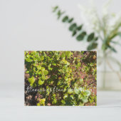 Bloomings uit Californië: Evergreen Currant Briefkaart (Staand voorkant)