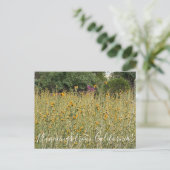 Bloomings uit Californië: Fiddlenecks Briefkaart (Staand voorkant)