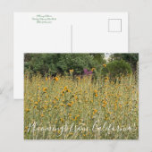 Bloomings uit Californië: Fiddlenecks Briefkaart (Voorkant / Achterkant)