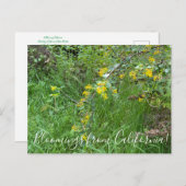 Bloomings uit Californië: Golden Currant Briefkaart (Voorkant / Achterkant)