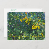 Bloomings uit Californië: Golden Currant Briefkaart (Voorkant / Achterkant)