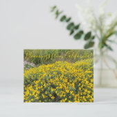 Bloomings uit Californië: Golden Yarrow Briefkaart (Staand voorkant)
