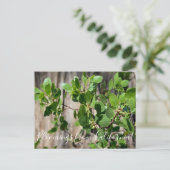 Bloomings uit Californië: Greenleaf Manzanita Briefkaart (Staand voorkant)