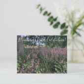 Bloomings uit Californië: Heuchera "Rosada" Briefkaart (Staand voorkant)