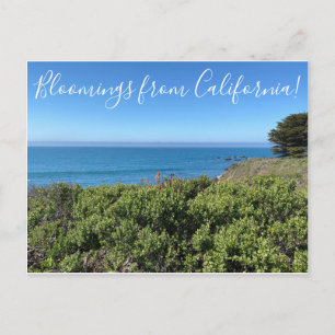 Bloomings uit Californië: Indische schilderpenseel Briefkaart