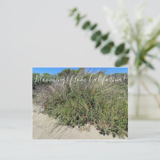 Bloomings uit Californië: Indische schildpenseel Briefkaart (Staand voorkant)