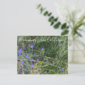 Bloomings uit Californië: Ithuriel's Spear Briefkaart (Staand voorkant)