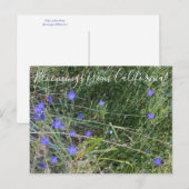 Bloomings uit Californië: Ithuriel's Spear Briefkaart (Voorkant / Achterkant)