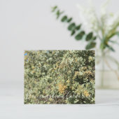 Bloomings uit Californië: Kwartel Struik Briefkaar Briefkaart (Staand voorkant)