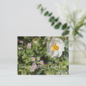 Bloomings uit Californië: Matilija Poppy Briefkaar Briefkaart (Staand voorkant)