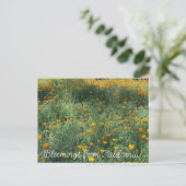 Bloomings uit Californië: May Poppies Briefkaart (Staand voorkant)