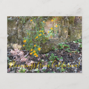 Bloomings uit Californië: Monkey Flowers Briefkaart
